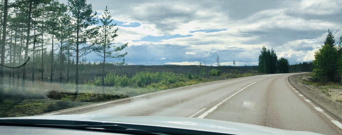 the road