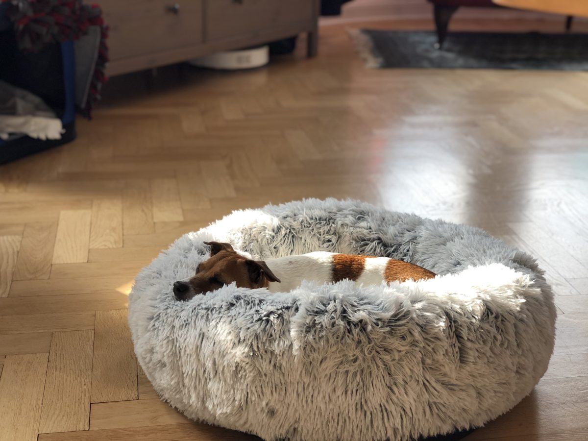 chief sunbathing office